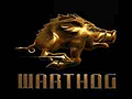 Warthog