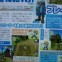 Harvest Moon Wii