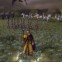 Warhammer : Mark of Chaos